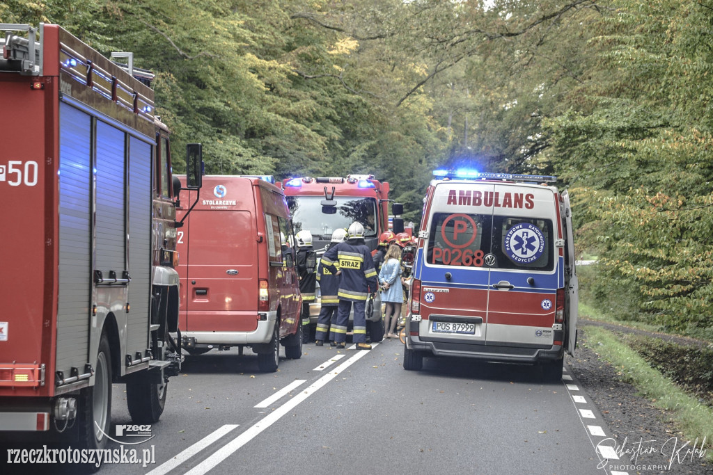 Wypadek dwóch samochodów na drodze do Sulmierzyc