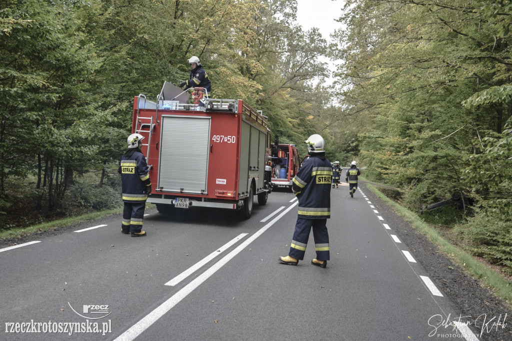 Wypadek dwóch samochodów na drodze do Sulmierzyc