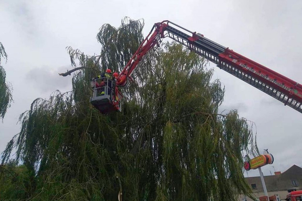 Wichura łamała drzewa i uszkadzała linie energetyczne