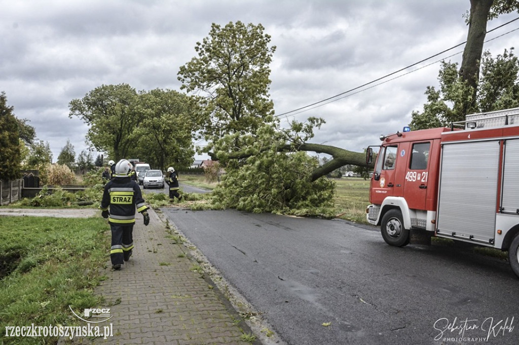 Wichura łamała drzewa i uszkadzała linie energetyczne