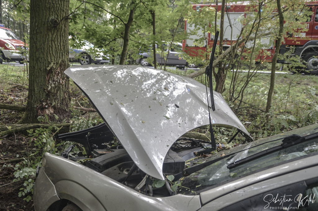 WYPADEK W KOBYLINIE. Auto zjechało z jezdni do lasu