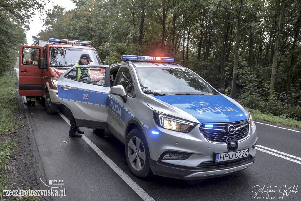 WYPADEK W KOBYLINIE. Auto zjechało z jezdni do lasu