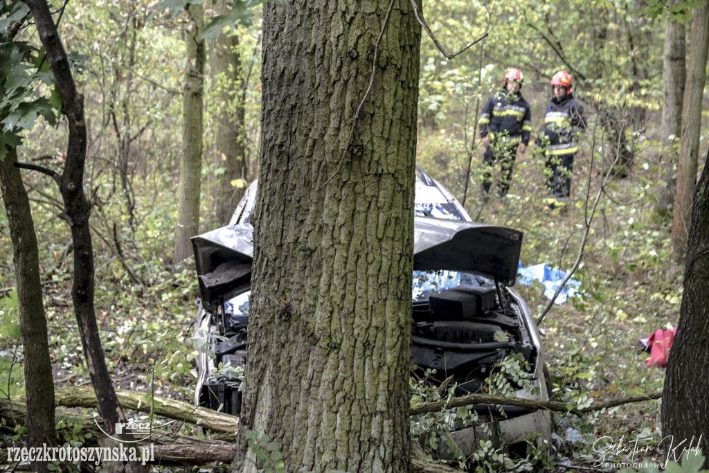 WYPADEK W KOBYLINIE. Auto zjechało z jezdni do lasu