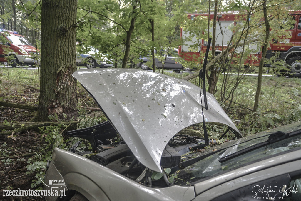 WYPADEK W KOBYLINIE. Auto zjechało z jezdni do lasu