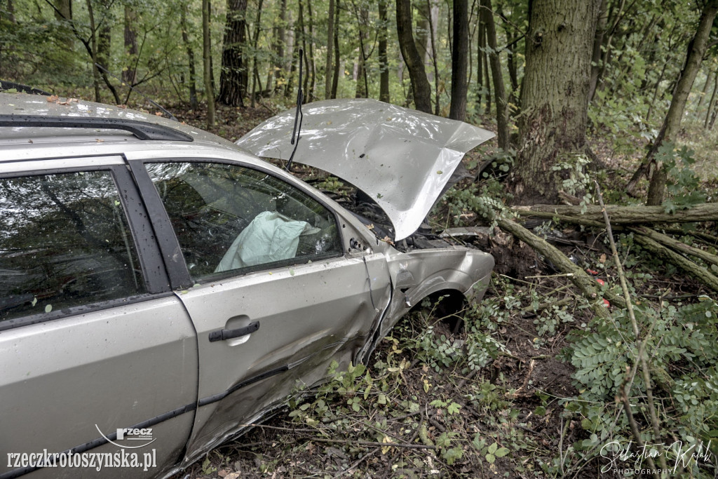 WYPADEK W KOBYLINIE. Auto zjechało z jezdni do lasu