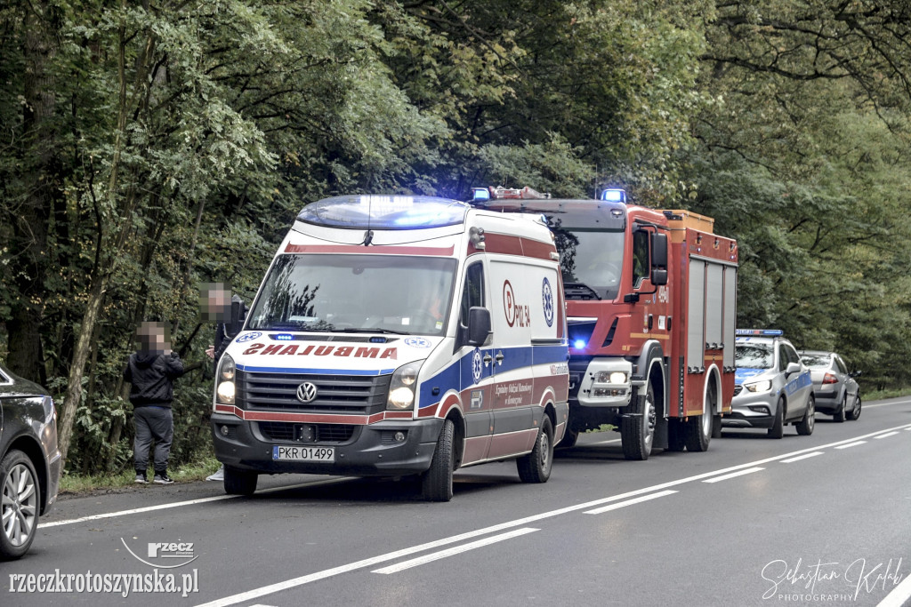 WYPADEK W KOBYLINIE. Auto zjechało z jezdni do lasu