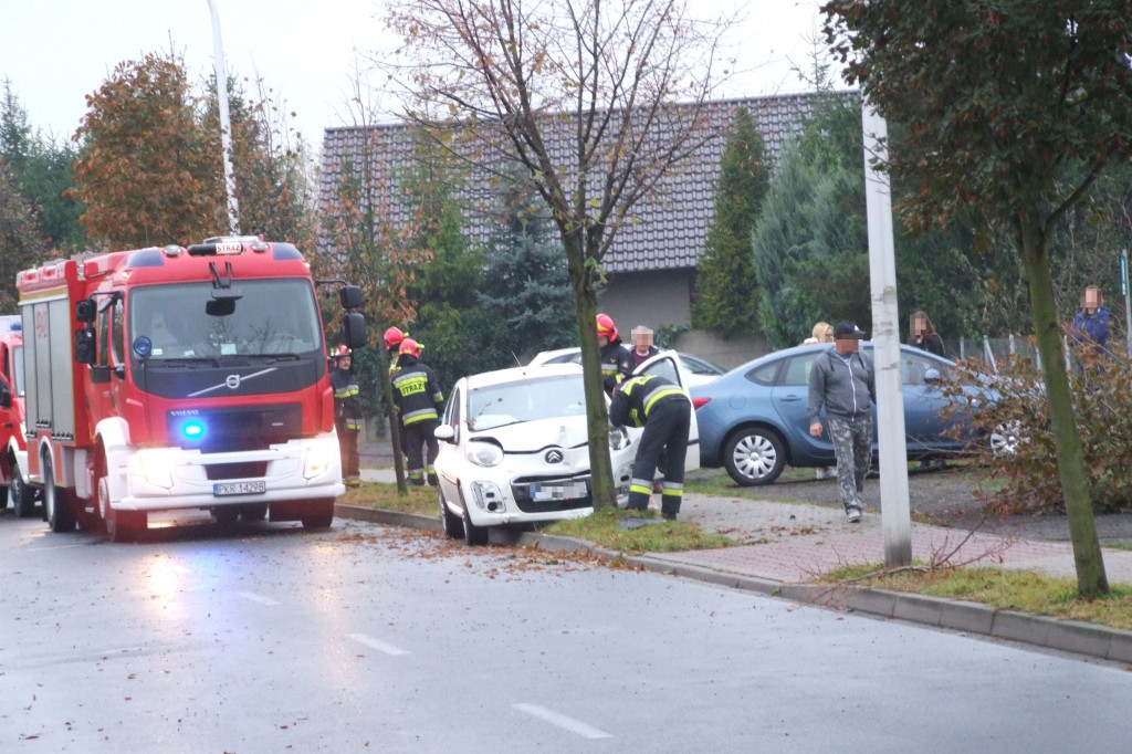 Kierowca uderzył w przydrożne drzewo