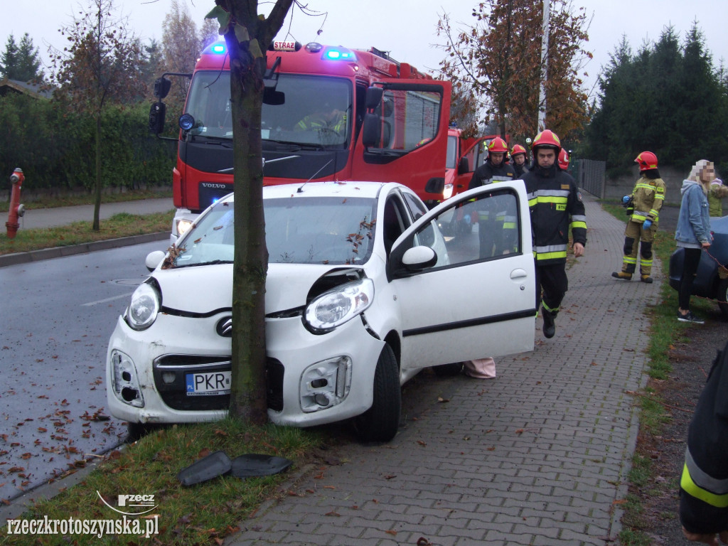 Kierowca uderzył w przydrożne drzewo
