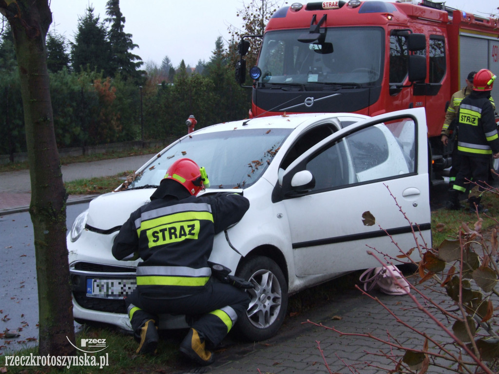 Kierowca uderzył w przydrożne drzewo