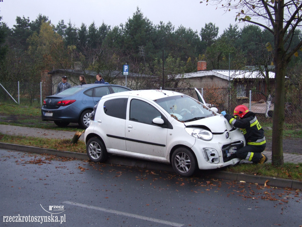 Kierowca uderzył w przydrożne drzewo