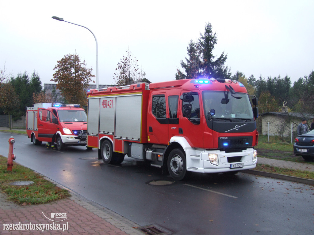 Kierowca uderzył w przydrożne drzewo