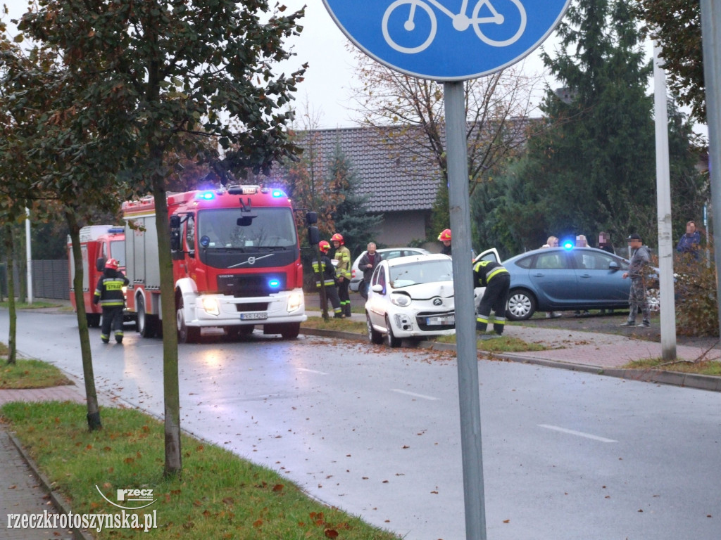 Kierowca uderzył w przydrożne drzewo