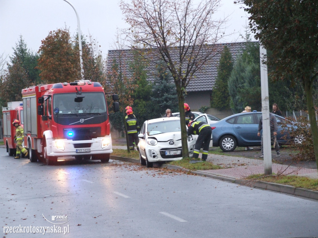 Kierowca uderzył w przydrożne drzewo