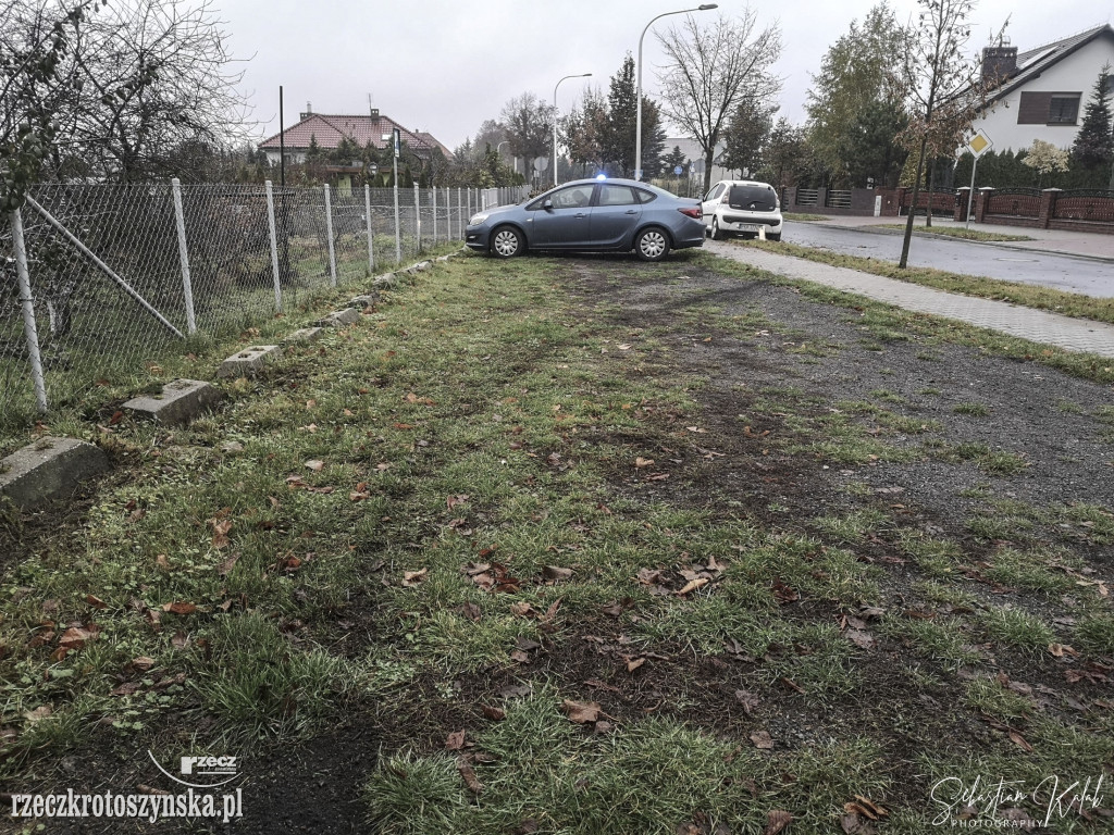 Kierowca uderzył w przydrożne drzewo