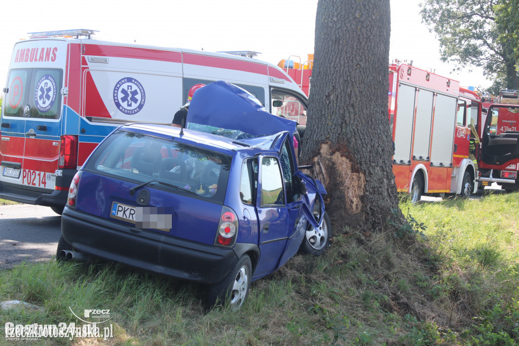 Opel uderzył w drzewo. 17-latka ze złamanymi kręgami szyjnymi trafiła do szpitala w Poznaniu