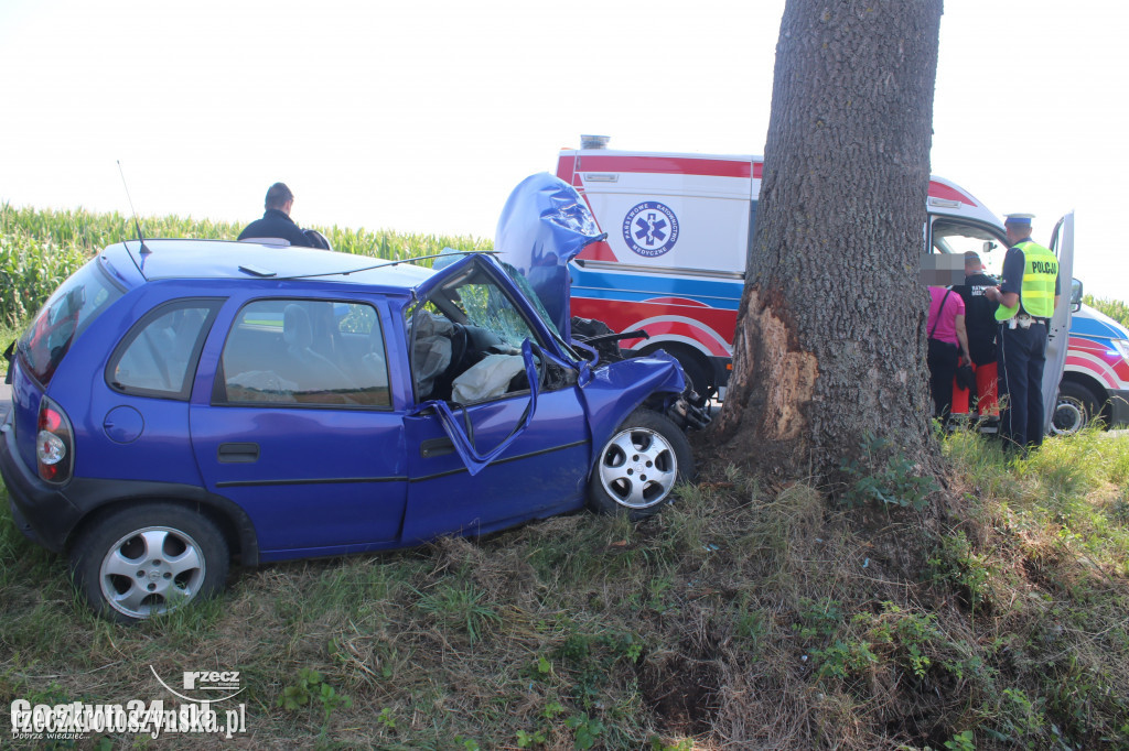 Opel uderzył w drzewo. 17-latka ze złamanymi kręgami szyjnymi trafiła do szpitala w Poznaniu
