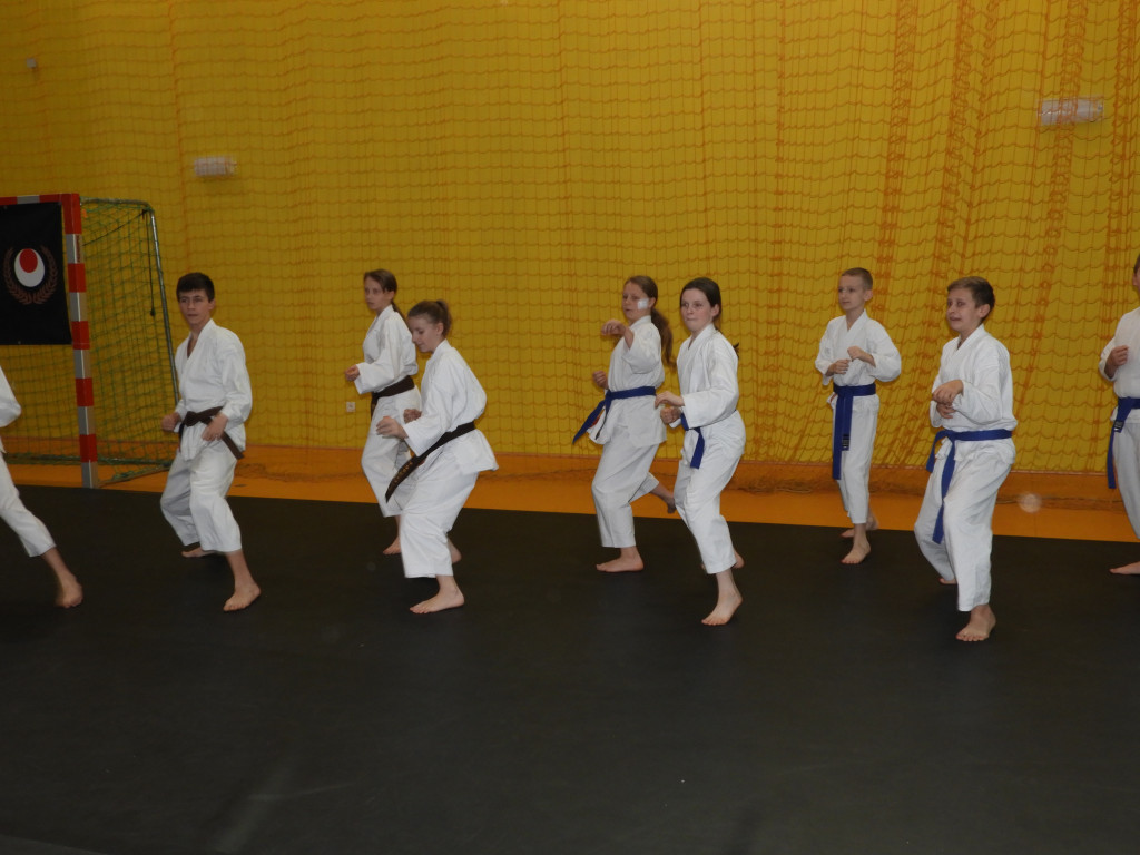 Karate ma się świetnie