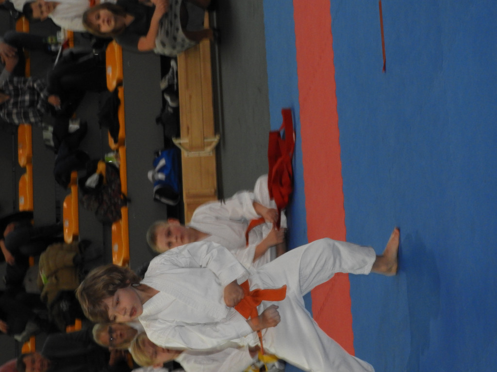 Karate ma się świetnie