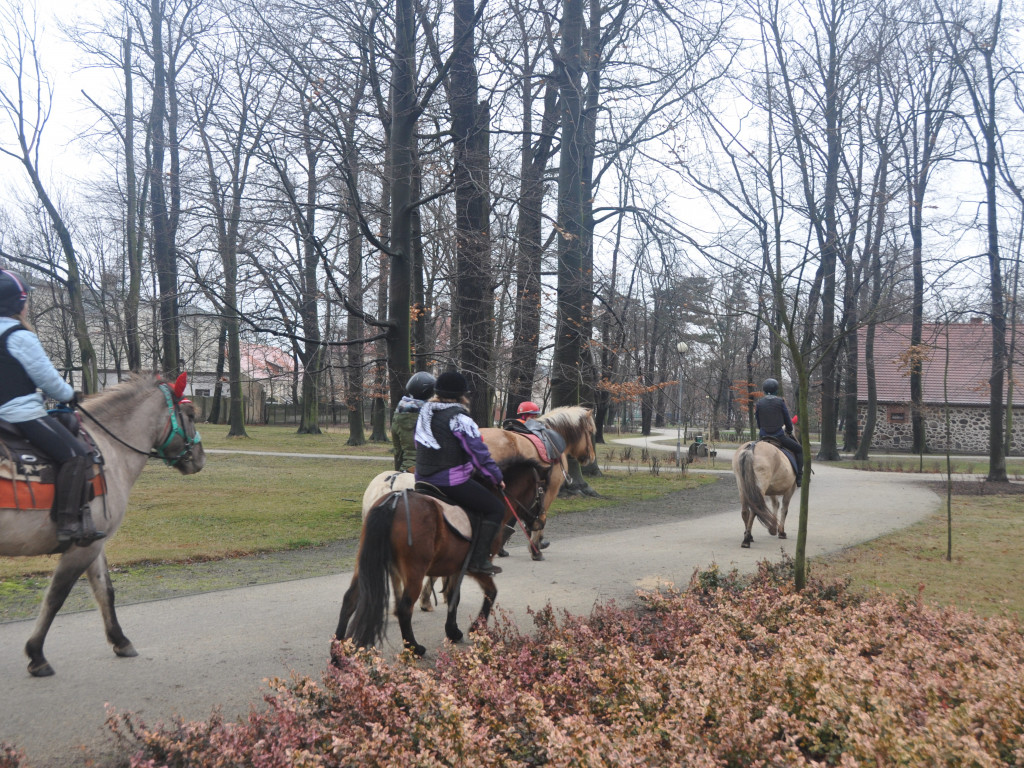 Wielka Orkiestra już gra
