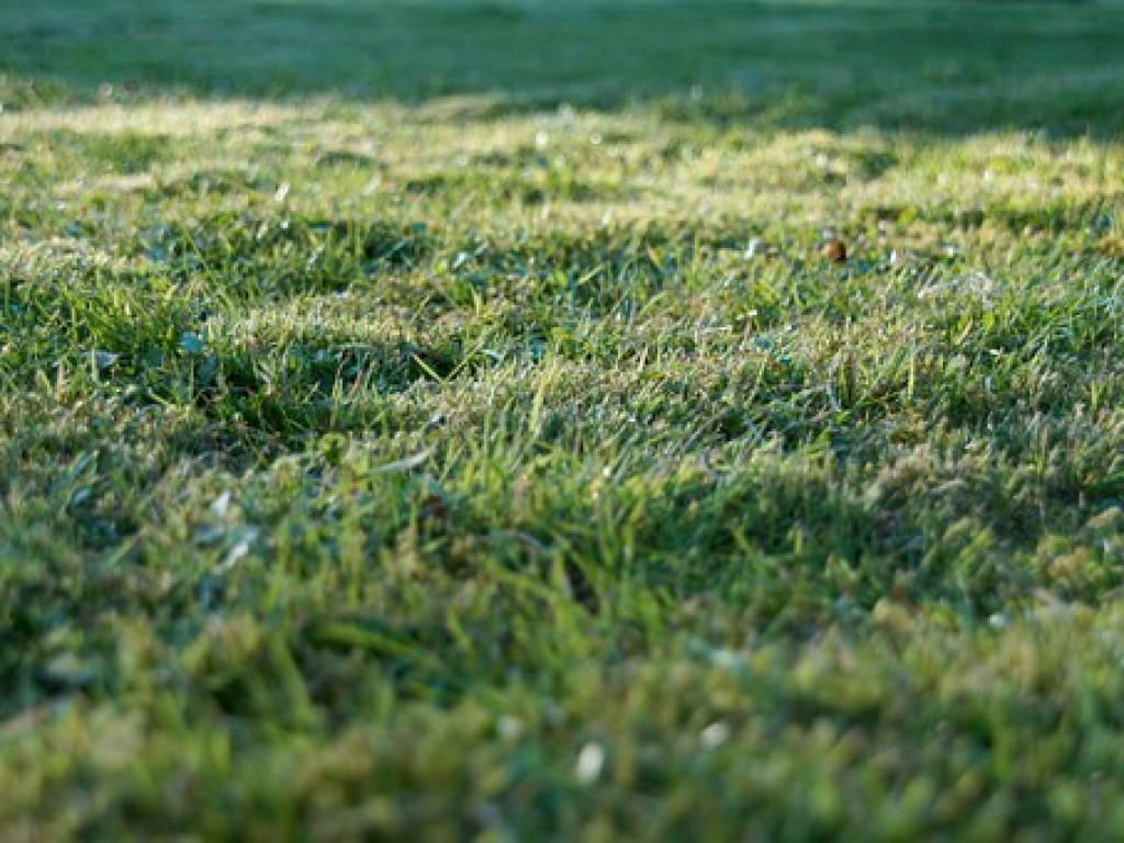 URODA I CZAR. Studniówkowy bal trójki