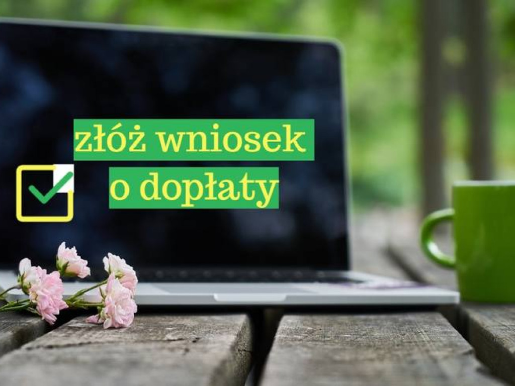 Mistrzostwa dzieci w zapasach (ZDJĘCIA)