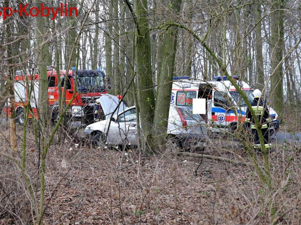 Wjechał w  płot, trafił do szpitala