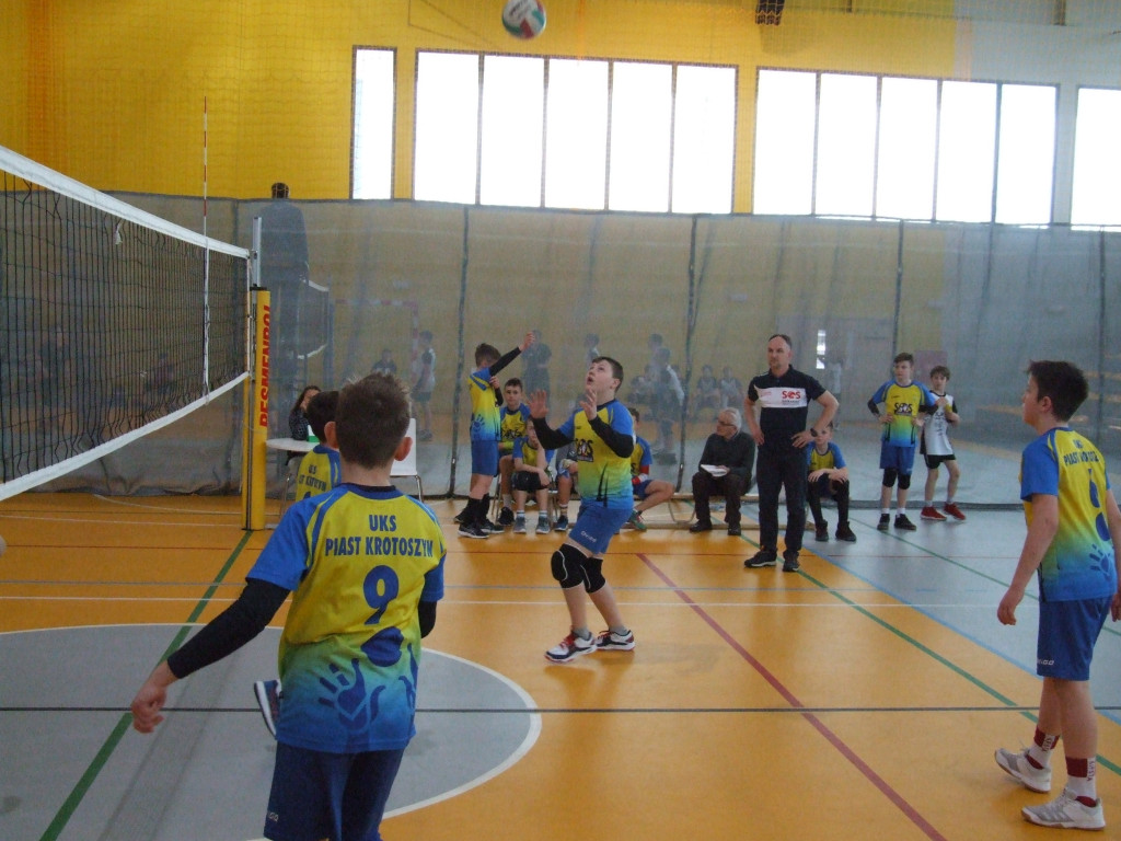 SP8 wicemistrzem Wielkopolski w minisiatkówce! Siódemka trzecia