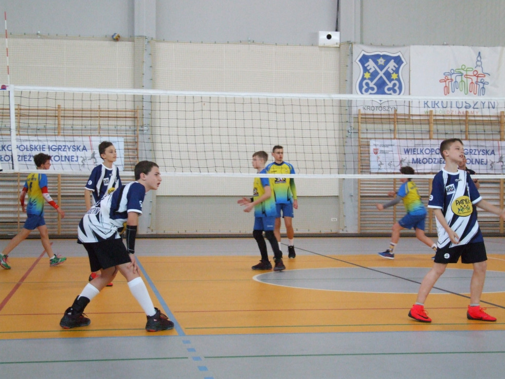 SP8 wicemistrzem Wielkopolski w minisiatkówce! Siódemka trzecia