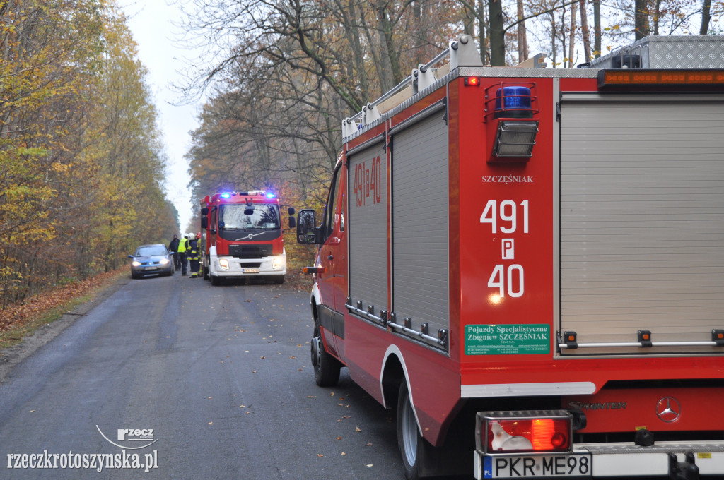 Wypadek na trasie Chachalnia-Chwaliszew. Auto uderzyło w drzewo, kierowca zabrało LPR