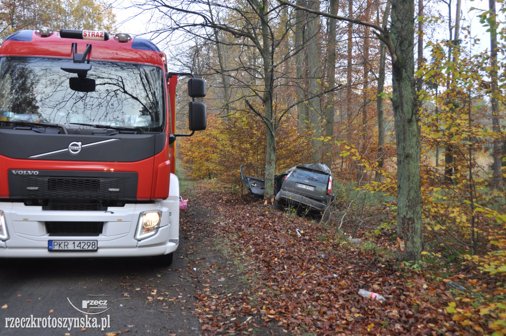 Wypadek na trasie Chachalnia-Chwaliszew. Auto uderzyło w drzewo, kierowca zabrało LPR