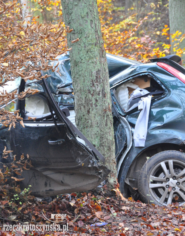 Wypadek na trasie Chachalnia-Chwaliszew. Auto uderzyło w drzewo, kierowca zabrało LPR