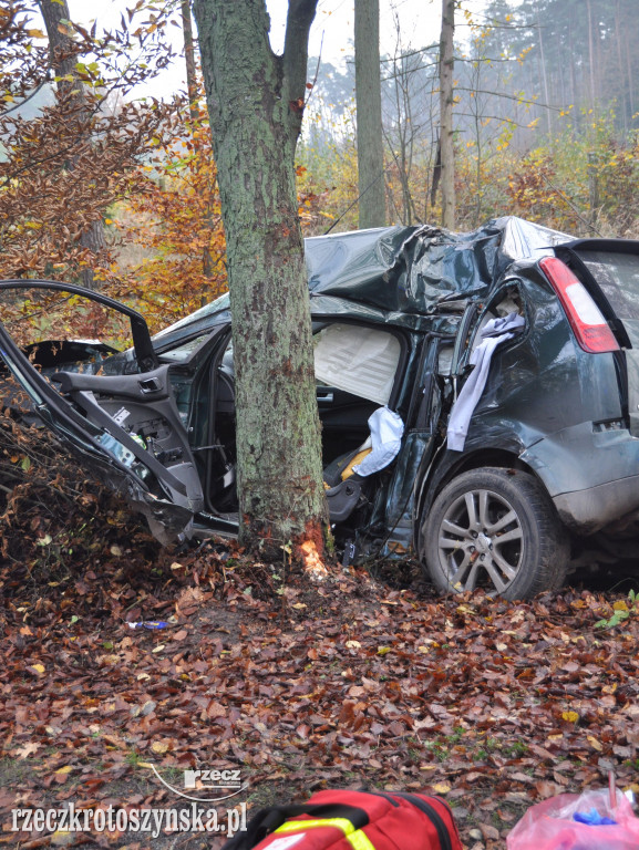 Wypadek na trasie Chachalnia-Chwaliszew. Auto uderzyło w drzewo, kierowca zabrało LPR