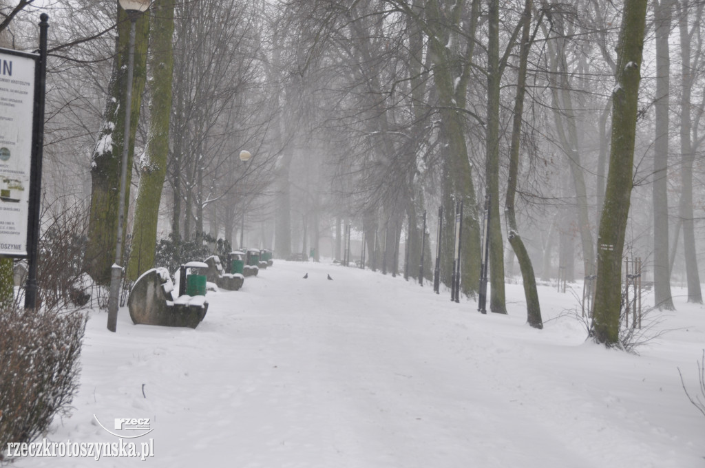 Zima znowu zaskoczyła drogowców. Wszędzie zalega śnieg