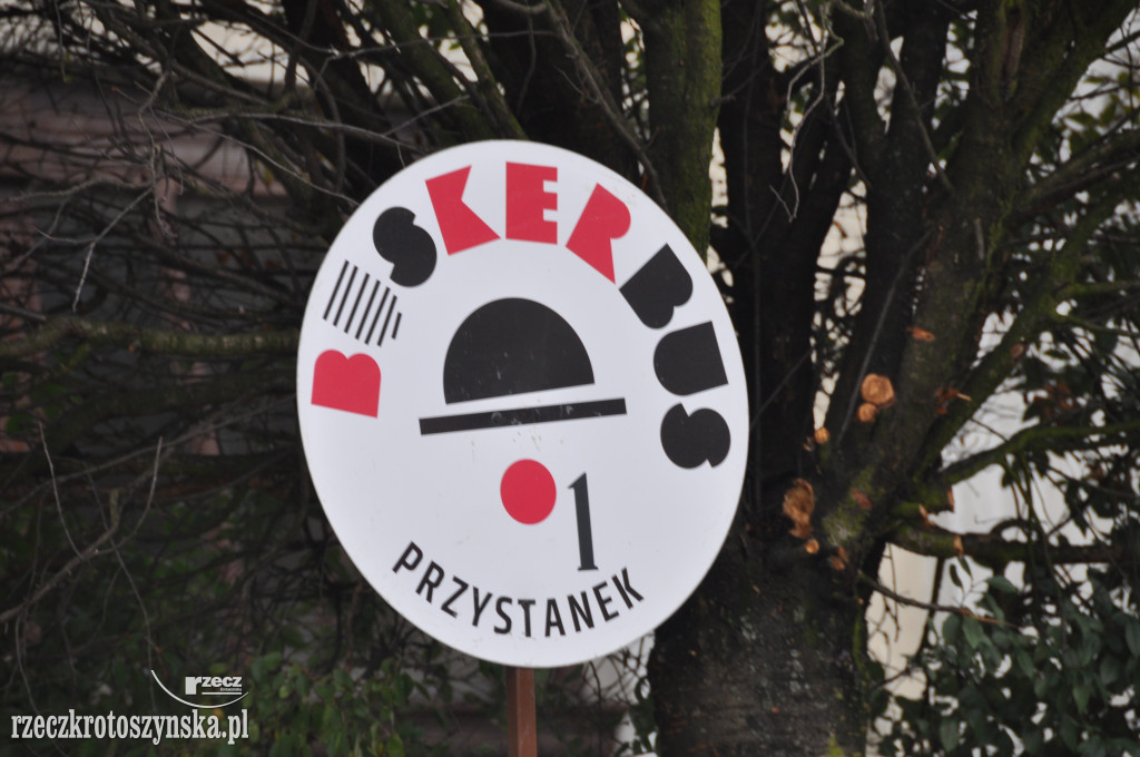 Akrobaci, cyrkowcy i muzycy opanowali krotoszyński Rynek