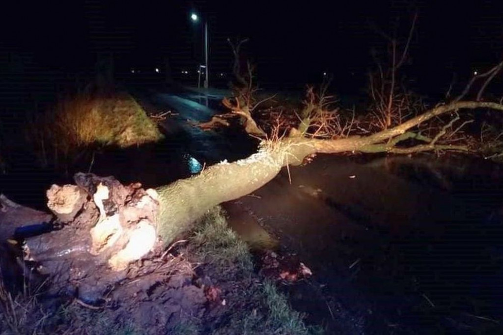 Wichura powaliła drzewa i uszkodziła dachy
