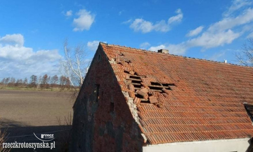 Wichura powaliła drzewa i uszkodziła dachy