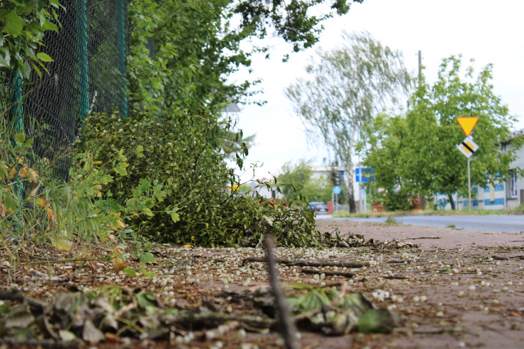 Gałęzie blokują przejazd ścieżką pieszo-rowerową