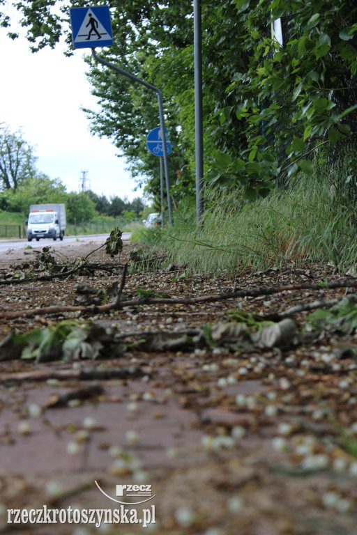 Gałęzie blokują przejazd ścieżką pieszo-rowerową