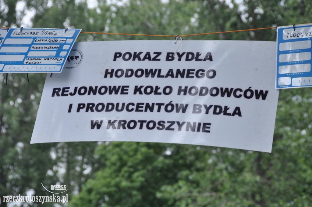 Rolnicza wystawa w Benicach i zabawa dla mas
