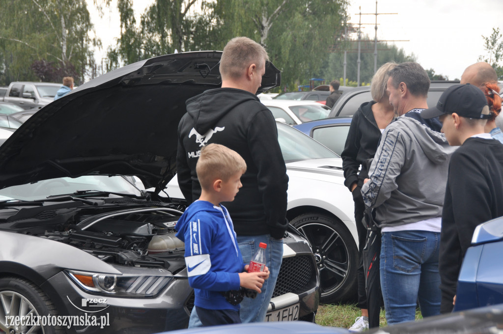 Kroto Amcar Spot - zlot amerykańskich samochodów