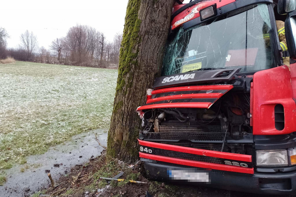 Wypadek samochodu ciężarowego z bydłem