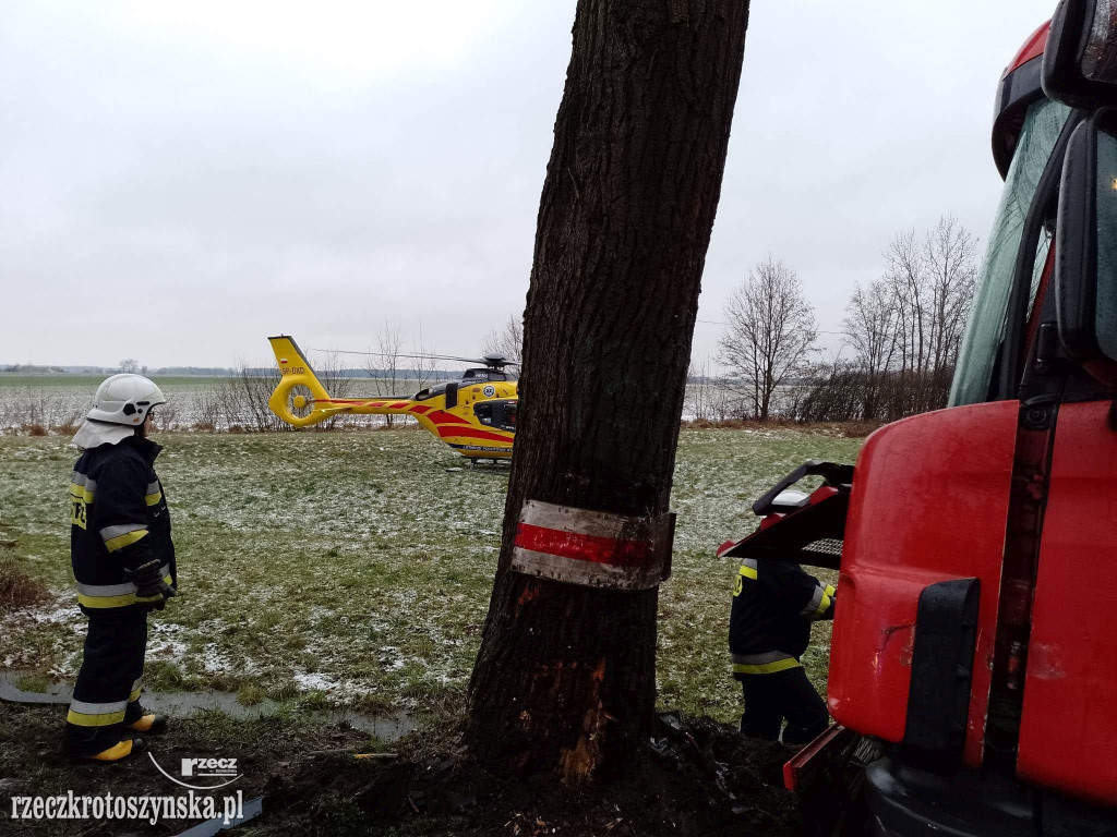 Wypadek samochodu ciężarowego z bydłem