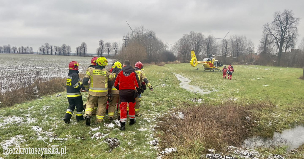 Wypadek samochodu ciężarowego z bydłem