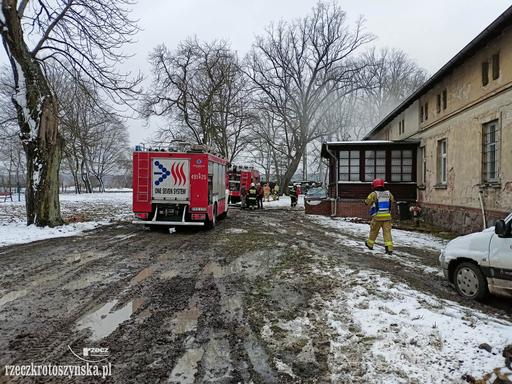 Pożar w mieszkaniu w Dusznej Górce. 16-latka była reanimowana