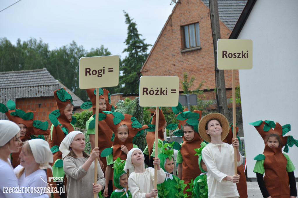 Szkole Podstawowej w Roszkach nadano imię