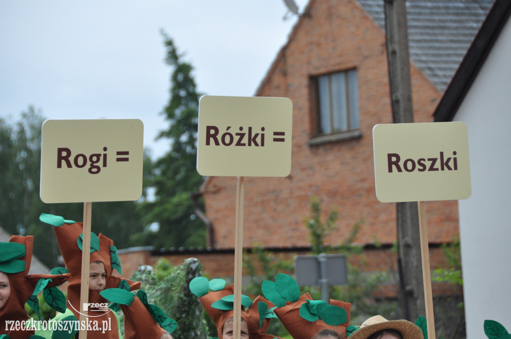 Szkole Podstawowej w Roszkach nadano imię