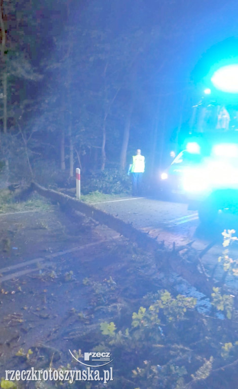 Nocny wypadek na trasie Krotoszyn - Sulmierzyce. Cudem przeżyli