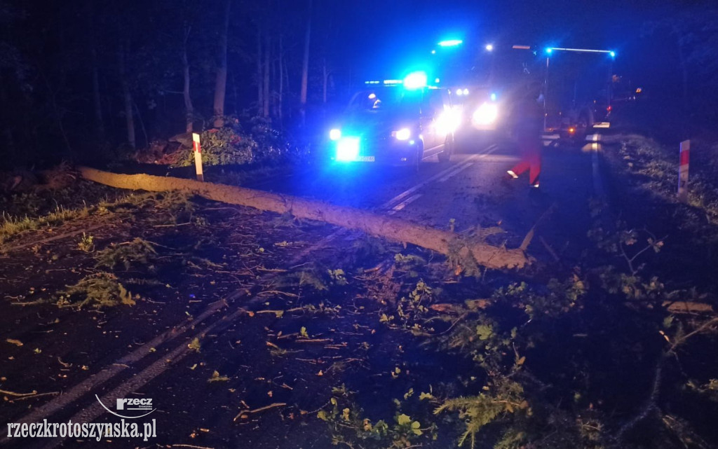Nocny wypadek na trasie Krotoszyn - Sulmierzyce. Cudem przeżyli