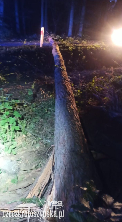 Nocny wypadek na trasie Krotoszyn - Sulmierzyce. Cudem przeżyli