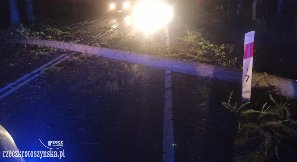 Nocny wypadek na trasie Krotoszyn - Sulmierzyce. Cudem przeżyli